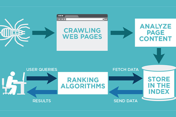 Search Engine Algorithm: Everything You Need To Know