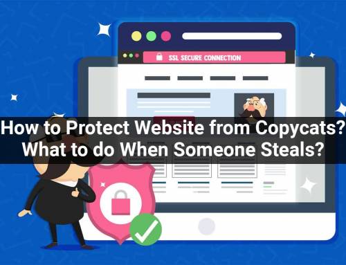 How to Protect Website from Copycats? What to do When Someone Steals your Site?