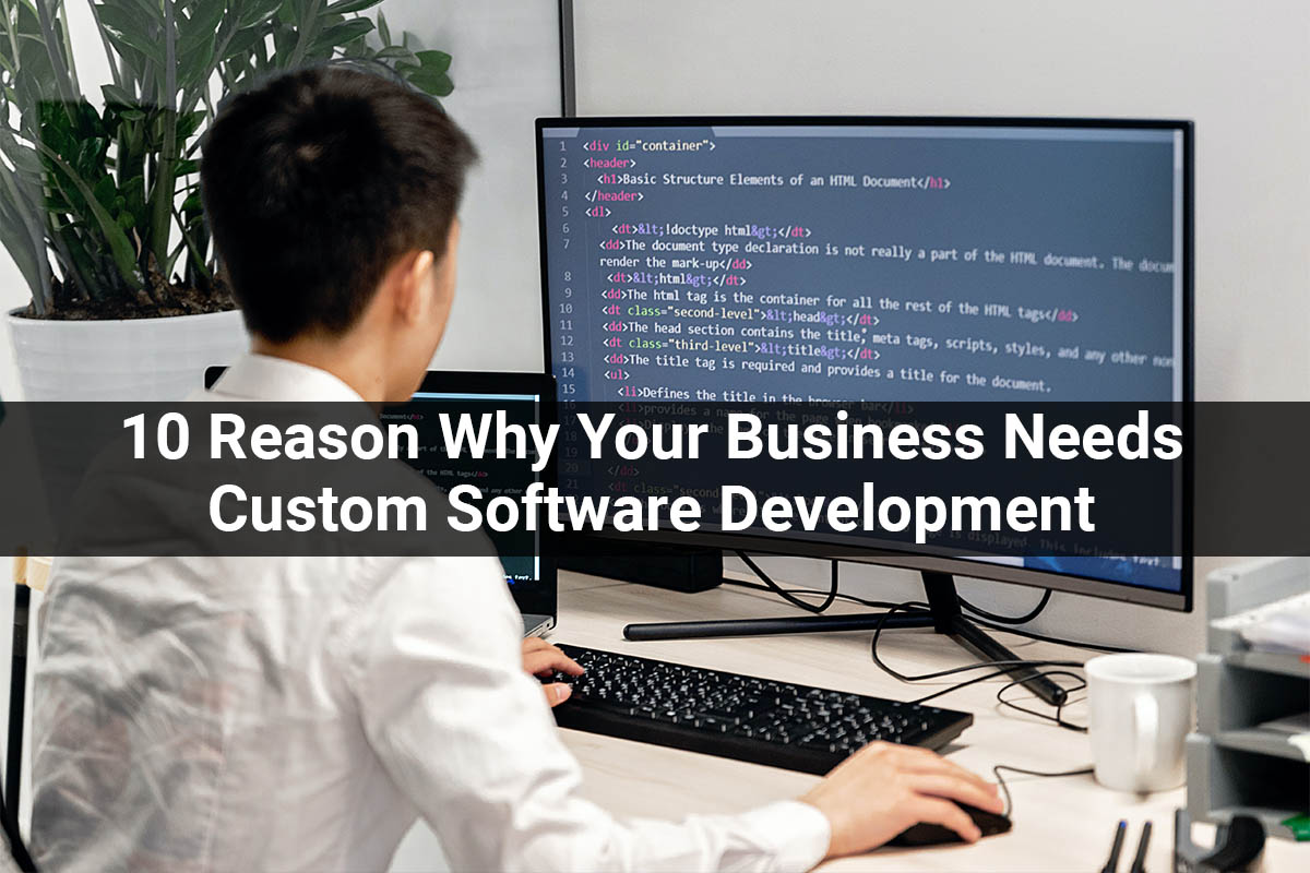 Reason Why Your Business Needs Custom Software Development