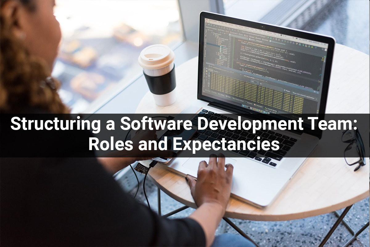 Structuring a Software Development Team Roles and Expectancies