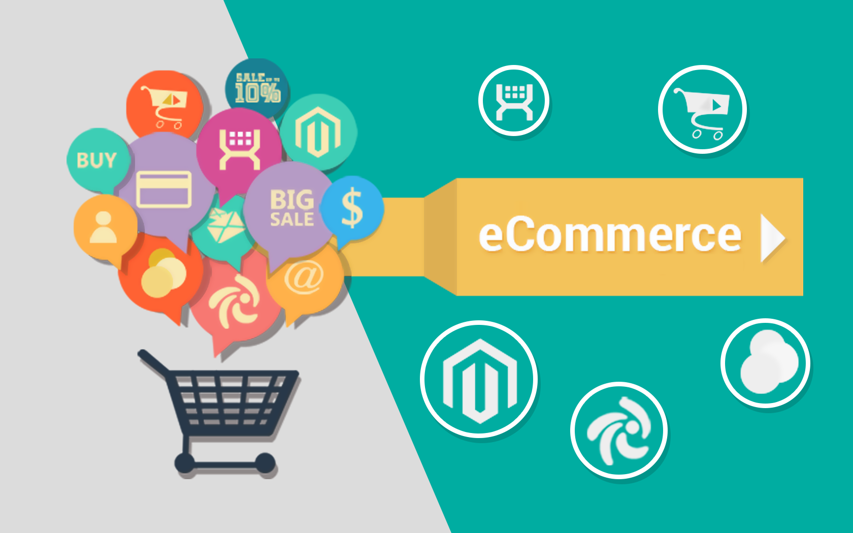 Professional eCommerce