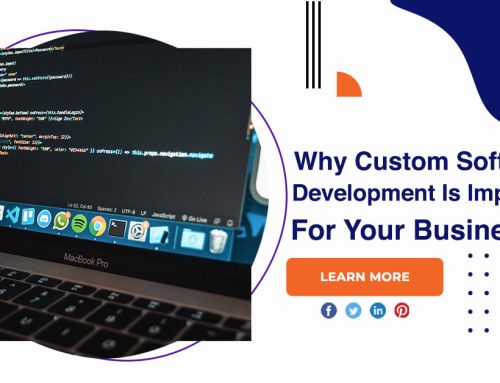 Why Custom Software Development Is Important For Your Business?