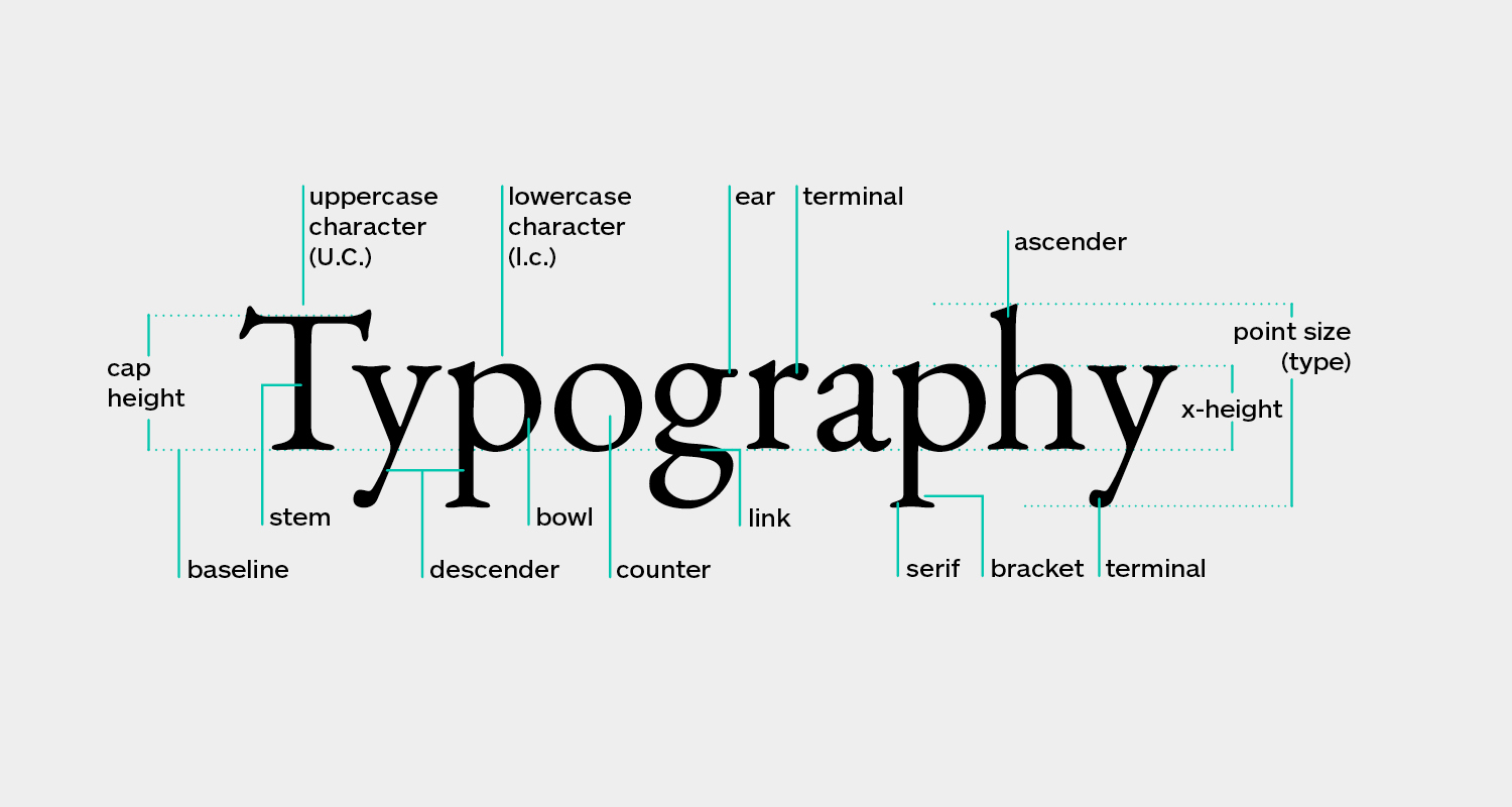Typography_Anatomy