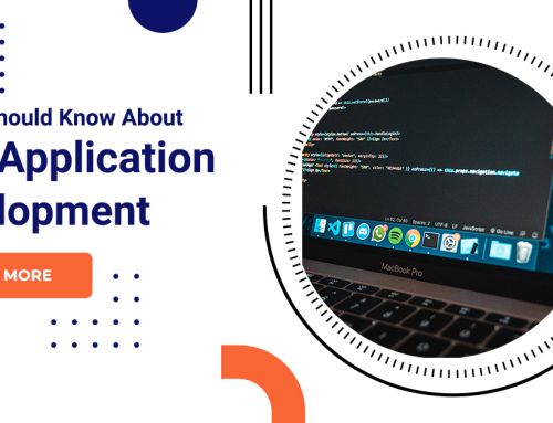 All You Should Know About Web Application Development