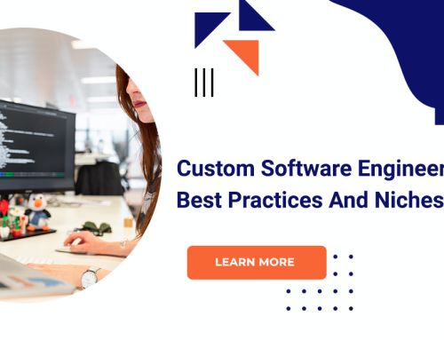 Custom Software Engineering Best Practices And Niches